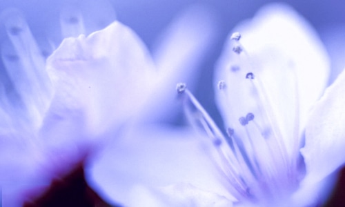 2022年6月的心情说说 2022年6月的心情说说